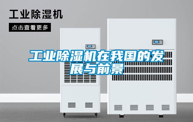 工業(yè)除濕機(jī)在我國(guó)的發(fā)展與前景
