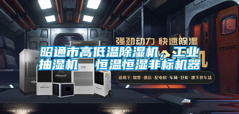 昭通市高低溫除濕機(jī)，工業(yè)抽濕機(jī)  恒溫恒濕非標(biāo)機(jī)器