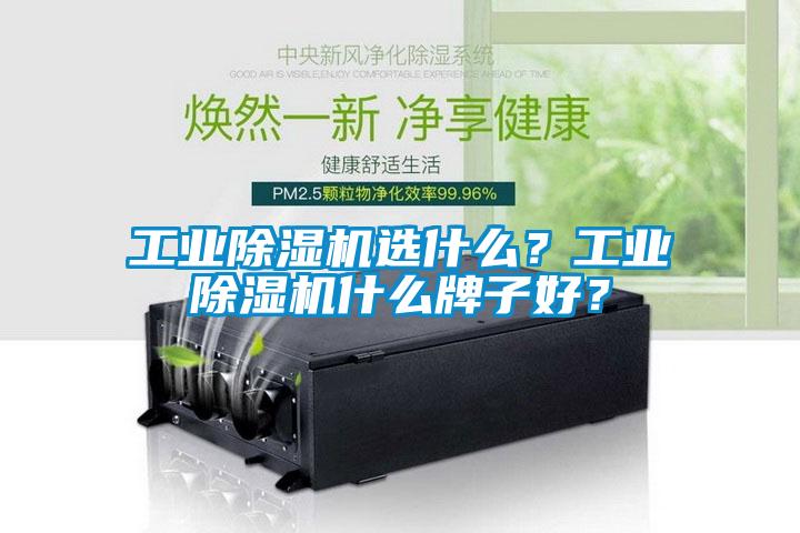 工業(yè)除濕機選什么？工業(yè)除濕機什么牌子好？