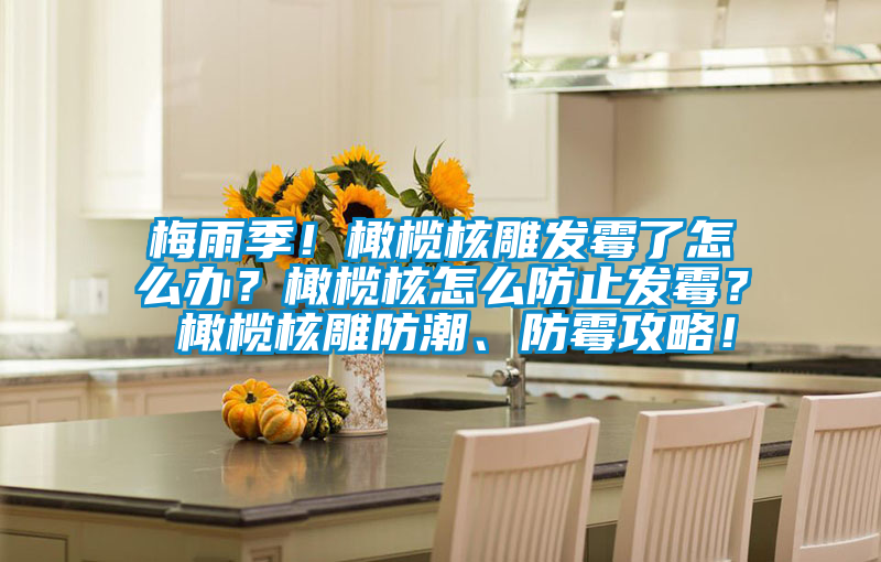 梅雨季！橄欖核雕發(fā)霉了怎么辦？橄欖核怎么防止發(fā)霉？ 橄欖核雕防潮、防霉攻略！