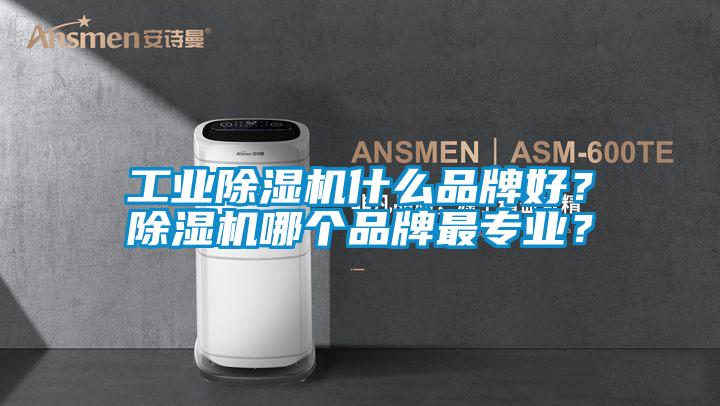 工業(yè)除濕機什么品牌好？除濕機哪個品牌最專業(yè)？