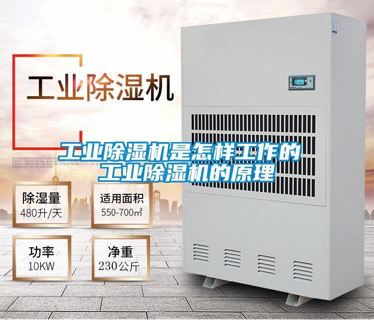工業(yè)除濕機(jī)是怎樣工作的 工業(yè)除濕機(jī)的原理
