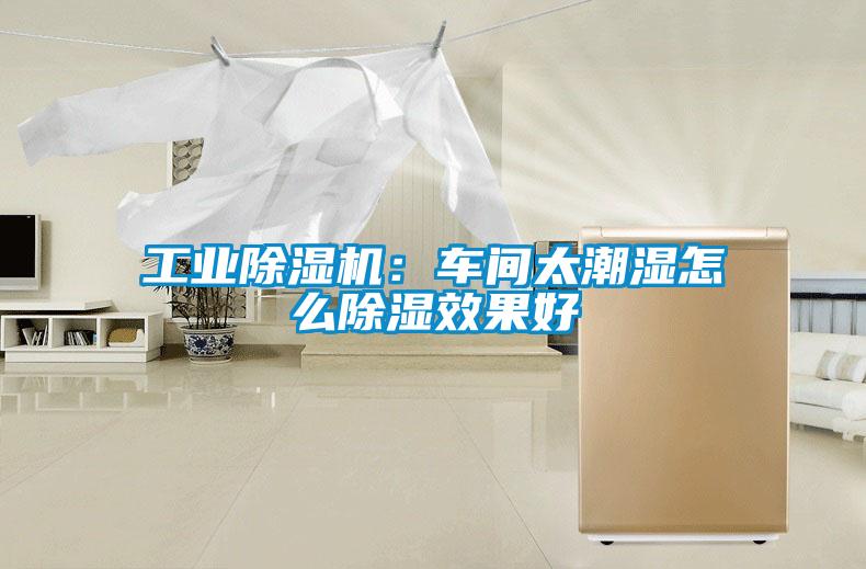 工業(yè)除濕機(jī)：車間太潮濕怎么除濕效果好