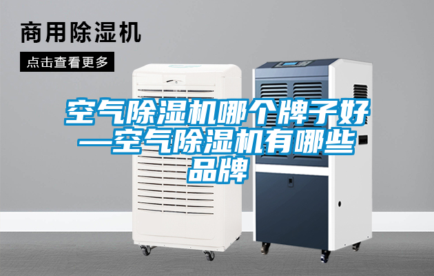 空氣除濕機(jī)哪個牌子好—空氣除濕機(jī)有哪些品牌