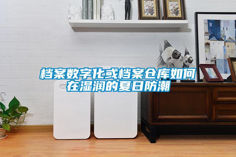 檔案數(shù)字化或檔案倉庫如何在濕潤的夏日防潮
