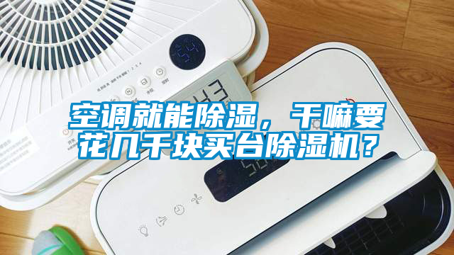 空調(diào)就能除濕，干嘛要花幾千塊買臺除濕機？
