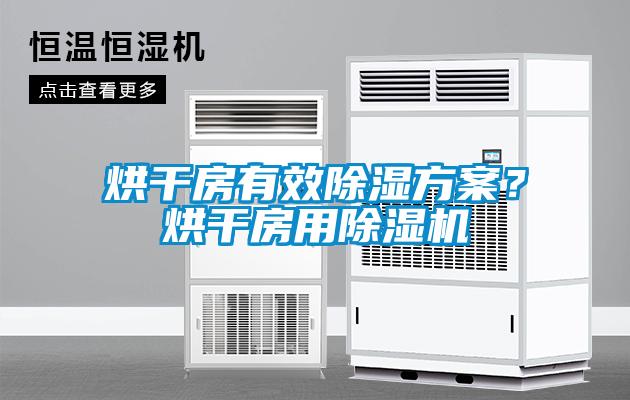 烘干房有效除濕方案？烘干房用除濕機