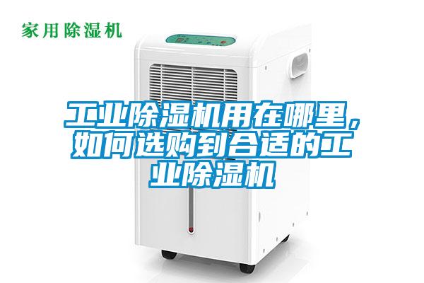 工業(yè)除濕機用在哪里，如何選購到合適的工業(yè)除濕機