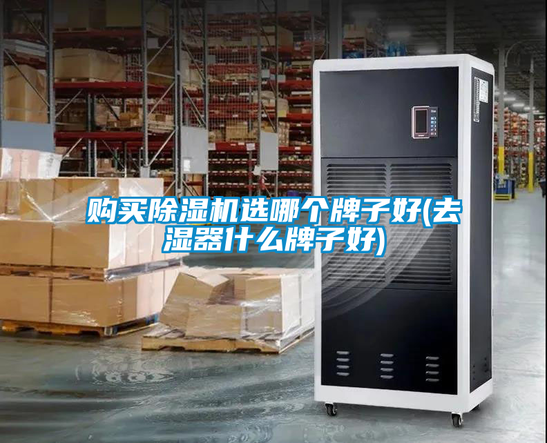 購(gòu)買(mǎi)除濕機(jī)選哪個(gè)牌子好(去濕器什么牌子好)