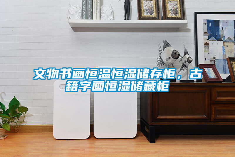 文物書畫恒溫恒濕儲(chǔ)存柜，古籍字畫恒濕儲(chǔ)藏柜