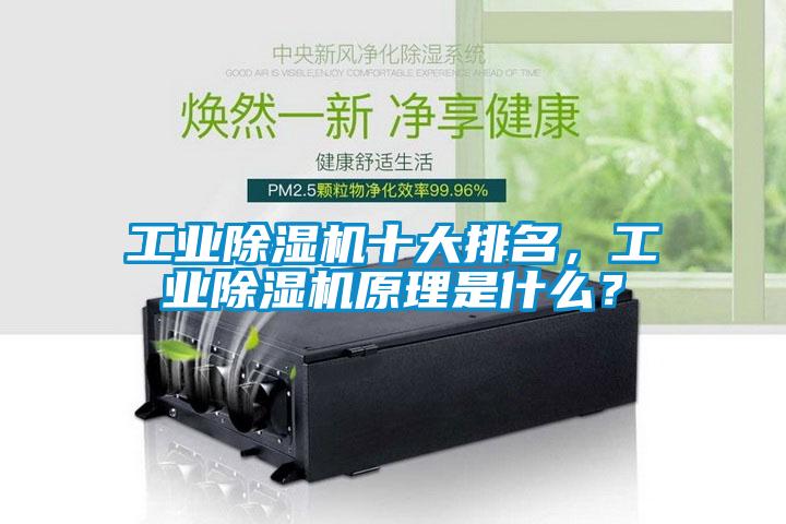 工業除濕機十大排名，工業除濕機原理是什么？