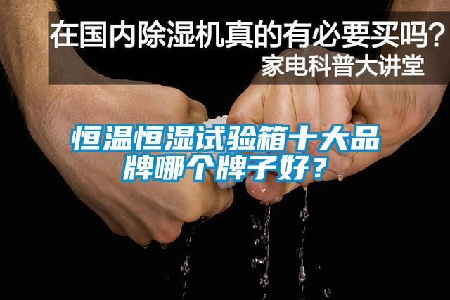 恒溫恒濕試驗(yàn)箱十大品牌哪個(gè)牌子好？