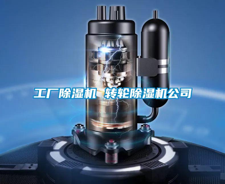 工廠除濕機 轉(zhuǎn)輪除濕機公司