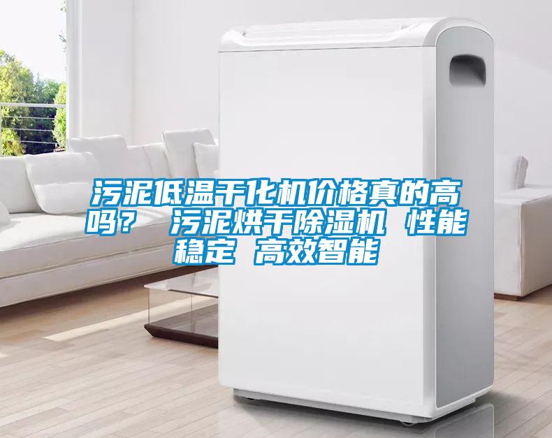 污泥低溫干化機價格真的高嗎？ 污泥烘干除濕機 性能穩定 高效智能