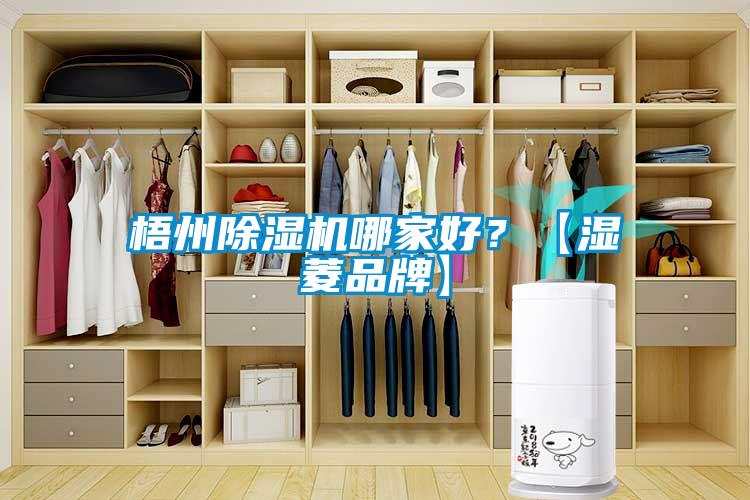 梧州除濕機哪家好？【濕菱品牌】