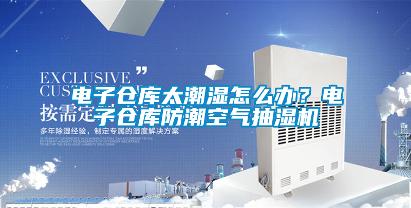 電子倉庫太潮濕怎么辦？電子倉庫防潮空氣抽濕機