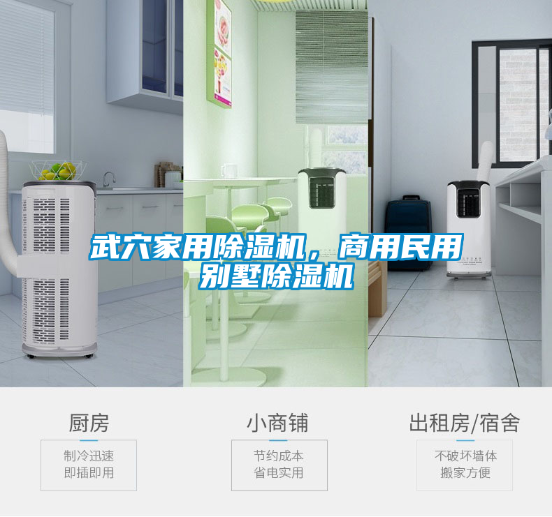 武穴家用除濕機，商用民用別墅除濕機