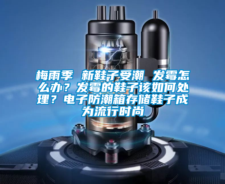 梅雨季 新鞋子受潮 發(fā)霉怎么辦？發(fā)霉的鞋子該如何處理？電子防潮箱存儲鞋子成為流行時尚