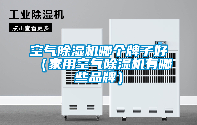 空氣除濕機(jī)哪個牌子好（家用空氣除濕機(jī)有哪些品牌）