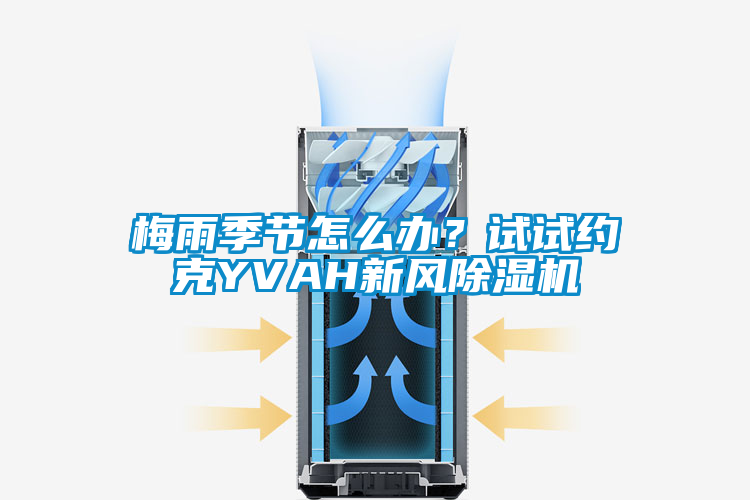 梅雨季節(jié)怎么辦？試試約克YVAH新風(fēng)除濕機(jī)