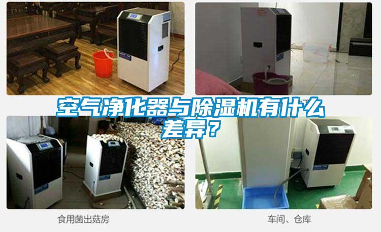 空氣凈化器與除濕機有什么差異？