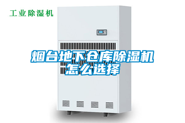 煙臺地下倉庫除濕機怎么選擇