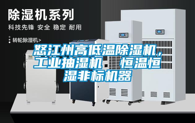 怒江州高低溫除濕機，工業抽濕機  恒溫恒濕非標機器