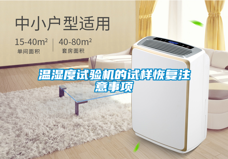 溫濕度試驗機的試樣恢復(fù)注意事項