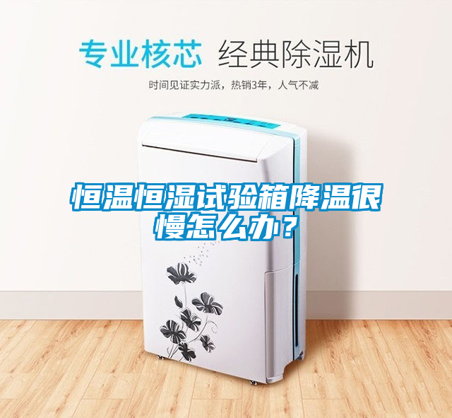 恒溫恒濕試驗箱降溫很慢怎么辦？