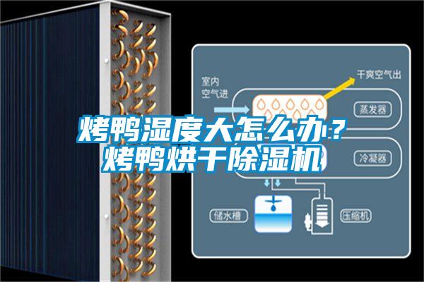 烤鴨濕度大怎么辦？烤鴨烘干除濕機