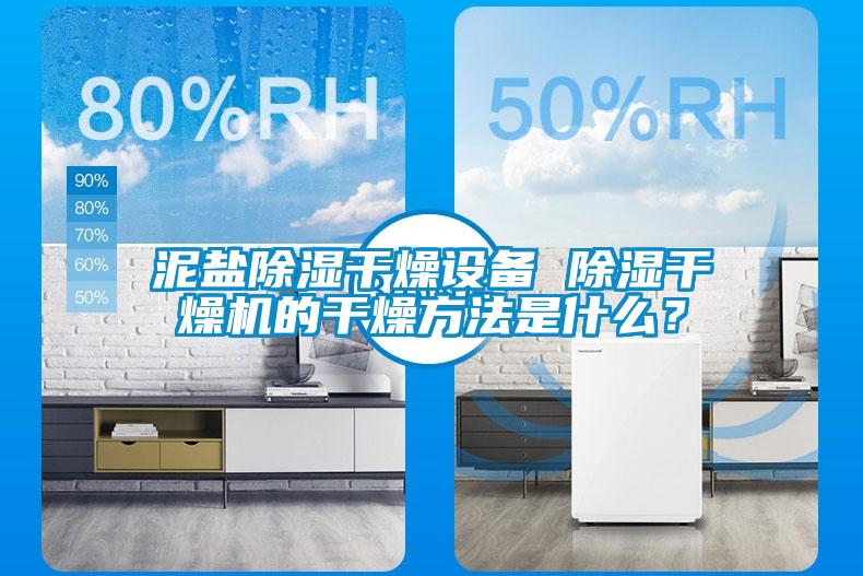 泥鹽除濕干燥設備 除濕干燥機的干燥方法是什么？