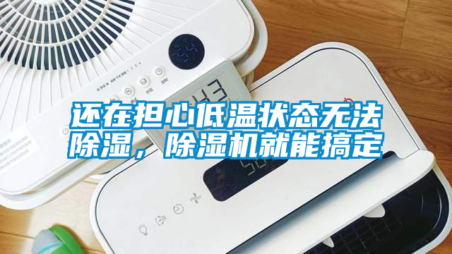 還在擔心低溫狀態無法除濕，除濕機就能搞定