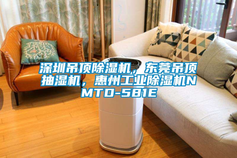 深圳吊頂除濕機，東莞吊頂抽濕機，惠州工業(yè)除濕機NMTD-581E