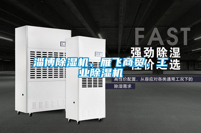 淄博除濕機、雁飛商貿、工業除濕機