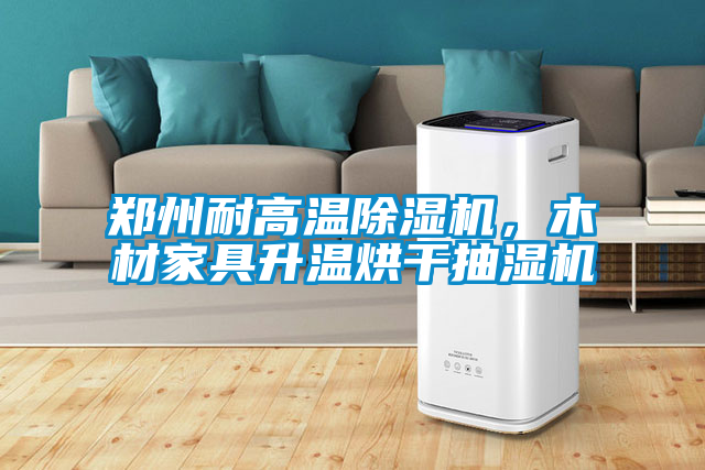鄭州耐高溫除濕機，木材家具升溫烘干抽濕機