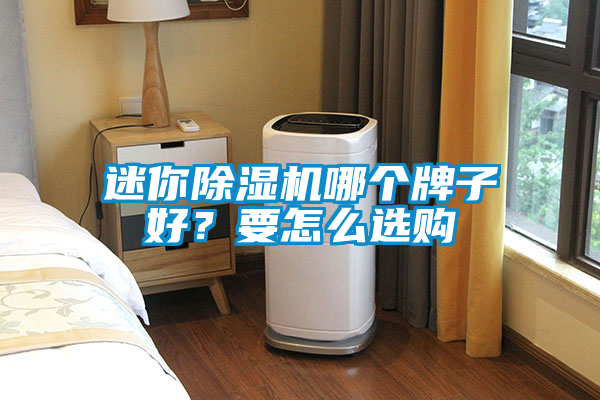 迷你除濕機哪個牌子好？要怎么選購