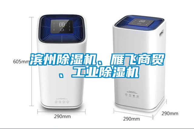 濱州除濕機(jī)、雁飛商貿(mào)、工業(yè)除濕機(jī)