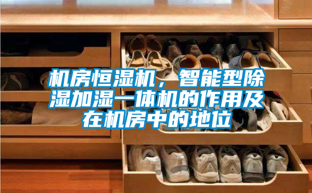 機房恒濕機，智能型除濕加濕一體機的作用及在機房中的地位
