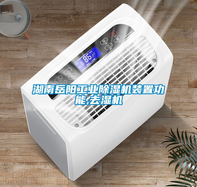 湖南岳陽(yáng)工業(yè)除濕機(jī)裝置功能,去濕機(jī)