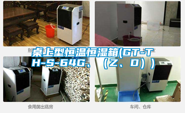 桌上型恒溫恒濕箱(GT-TH-S-64G、（Z、D）)