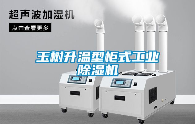 玉樹(shù)升溫型柜式工業(yè)除濕機(jī)
