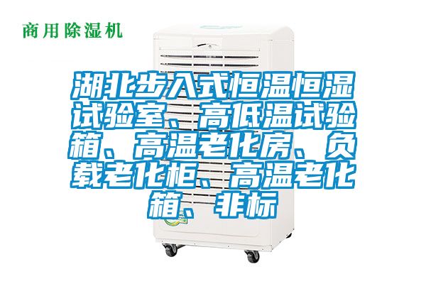 湖北步入式恒溫恒濕試驗室、高低溫試驗箱、高溫老化房、負載老化柜、高溫老化箱、非標