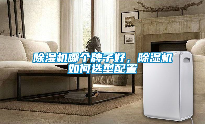 除濕機哪個牌子好，除濕機如何選型配置