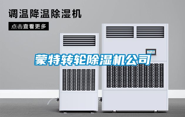 蒙特轉(zhuǎn)輪除濕機公司