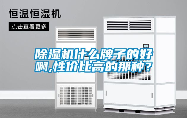 除濕機什么牌子的好啊,性價比高的那種？