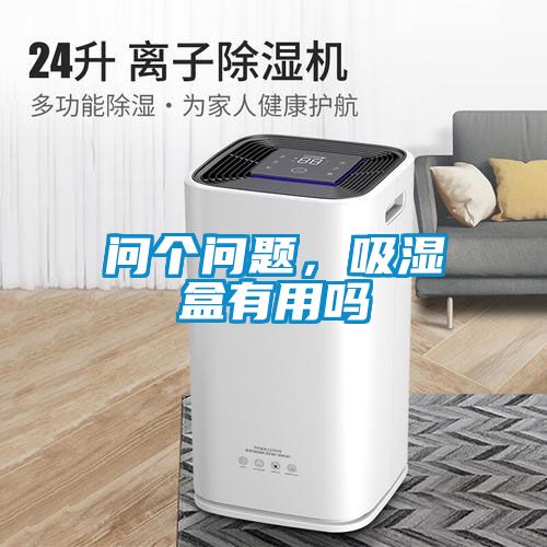 問個問題，吸濕盒有用嗎