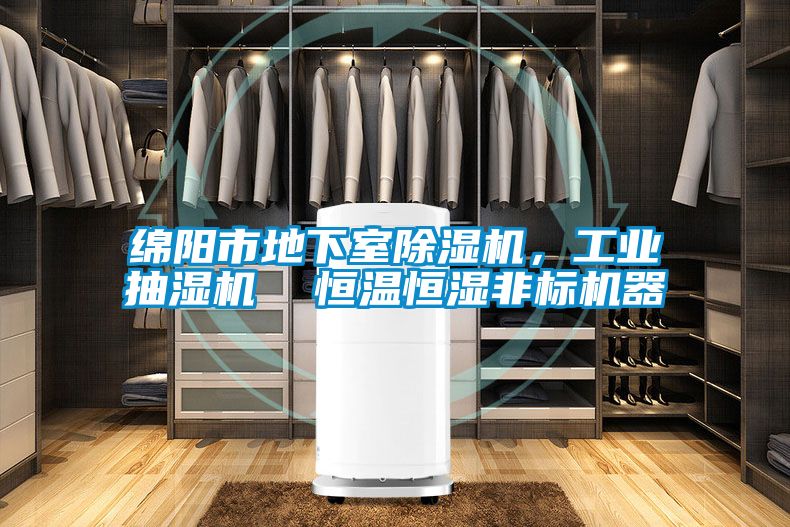綿陽市地下室除濕機(jī)，工業(yè)抽濕機(jī)  恒溫恒濕非標(biāo)機(jī)器