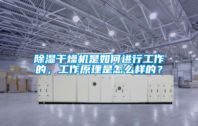 除濕干燥機是如何進(jìn)行工作的，工作原理是怎么樣的？