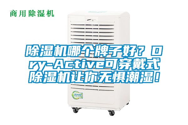 除濕機哪個牌子好？Dry-Active可穿戴式除濕機讓你無懼潮濕！