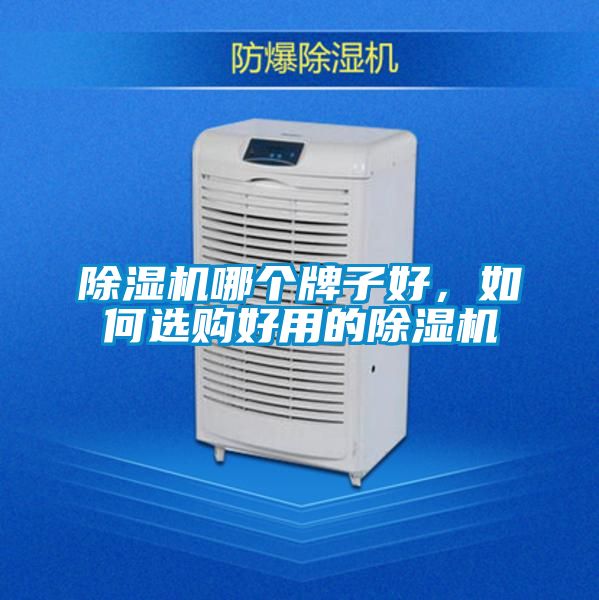 除濕機哪個牌子好，如何選購好用的除濕機